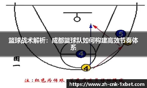 篮球战术解析：成都篮球队如何构建高效节奏体系